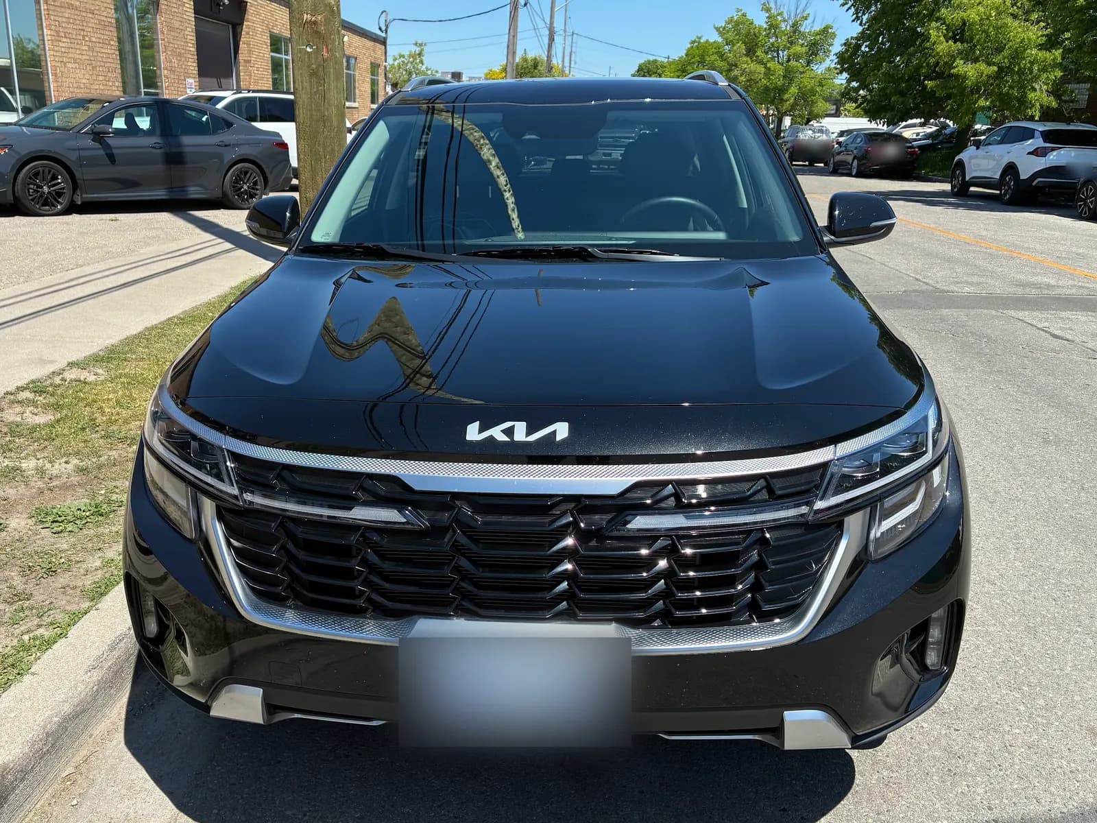 Customer photo of a Kia Carnival